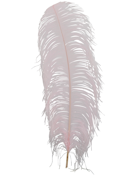 Ostrich Wing Plumes 1st Quality 20"+ H63 Light Pink