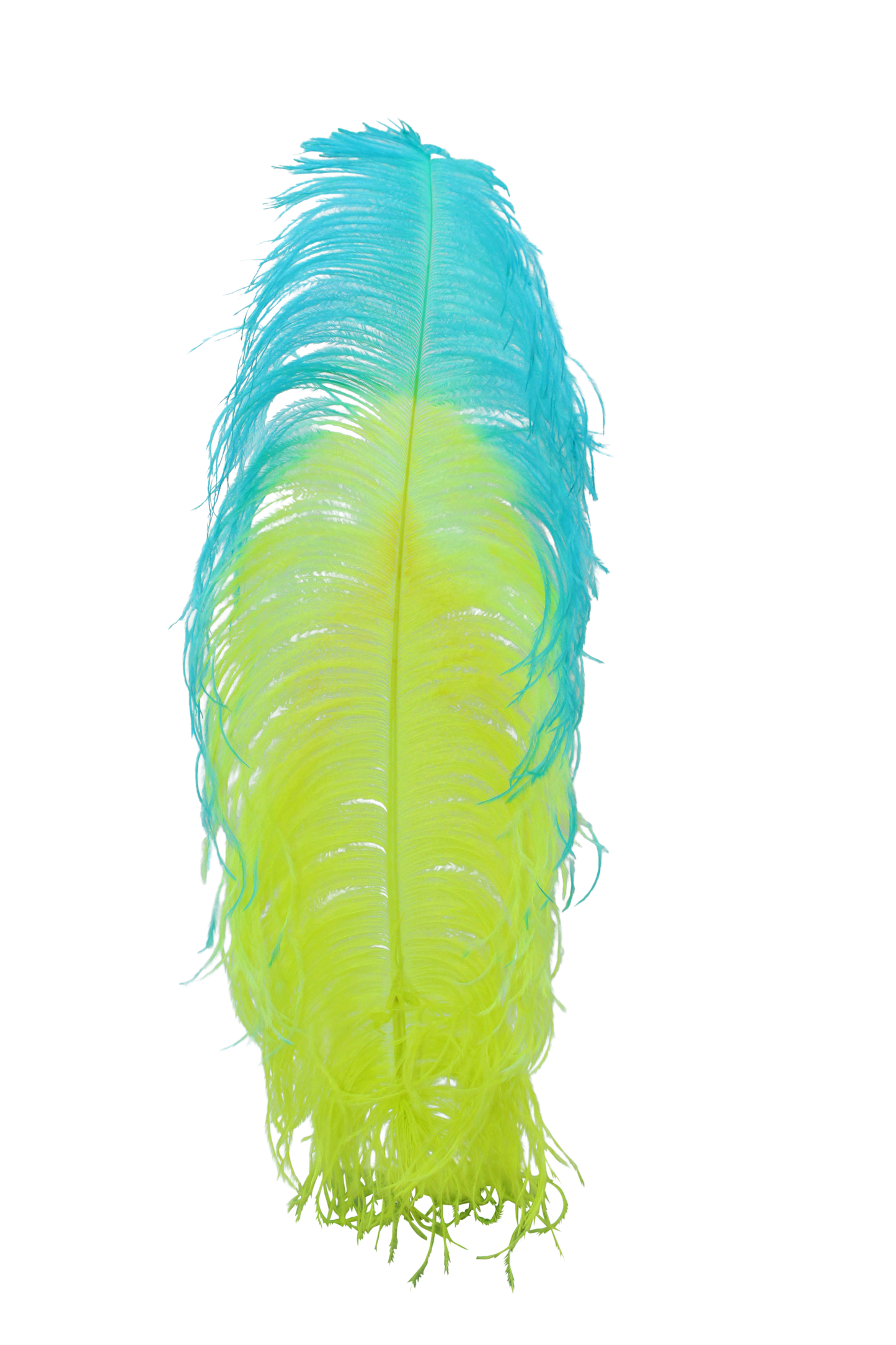Ostrich Plumes 1st Quality 20"+ Custom H116 Neon Yellow with H12 Aqua Tip