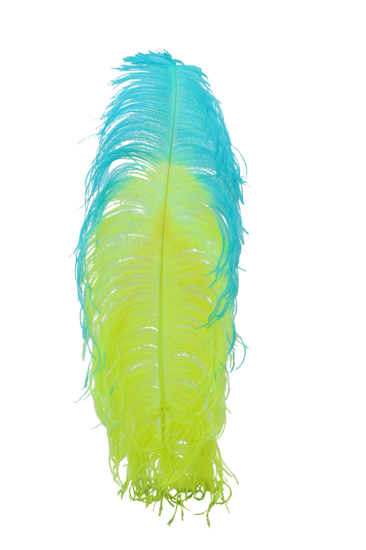 Ostrich Plumes 1st Quality 20"+ Custom H116 Neon Yellow with H12 Aqua Tip