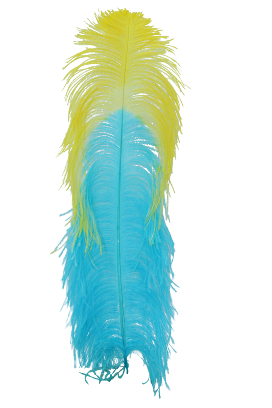 Ostrich Plumes 1st Quality 20"+ Custom H12 Aqua with H36 Yellow Tip