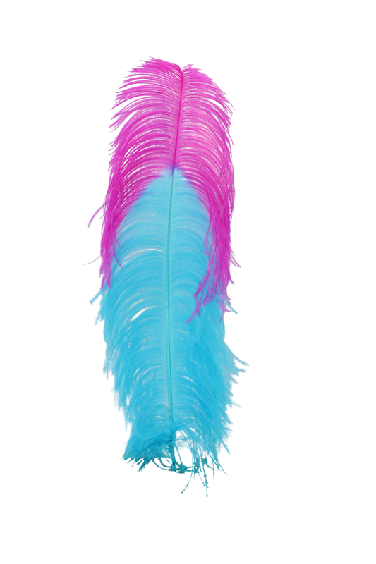 Ostrich Plumes 1st Quality 20"+ Custom H12 Aqua with H69 Hot Pink Tip