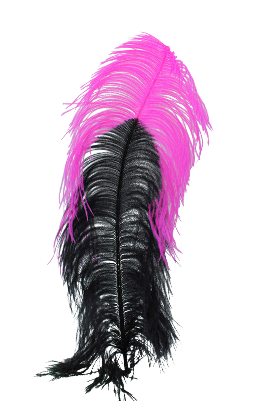 Ostrich Plumes 1st Quality 20"+ Custom H80 Black with H69 Hot Pink Tip