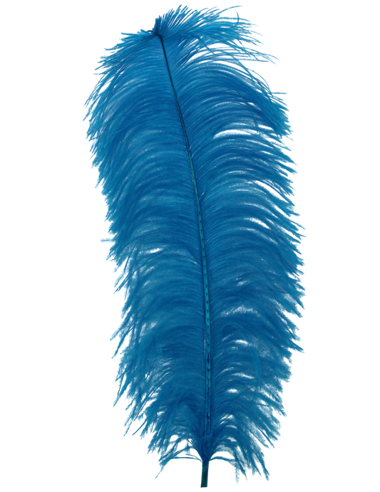 Ostrich Wing Plumes 1st Quality 20"+ H100 Turquoise