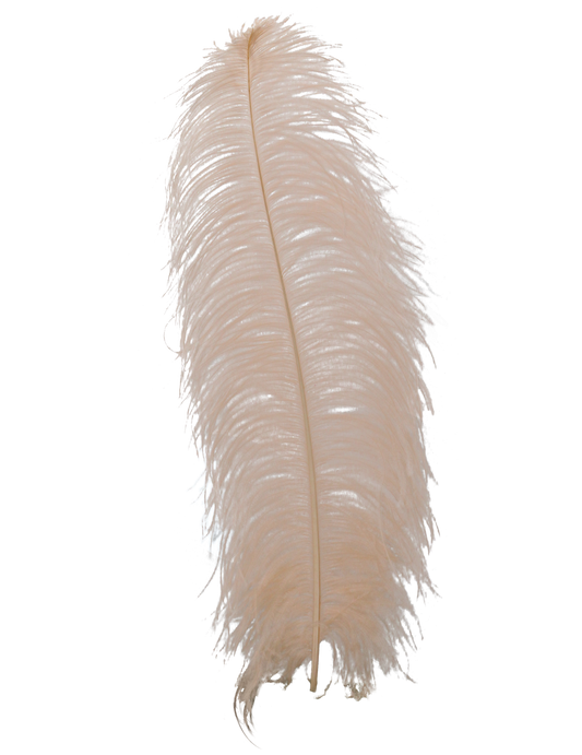 Ostrich Wing Plumes 1st Quality 20"+ H58 Apricot
