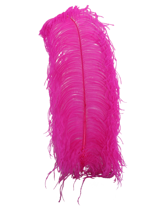 Ostrich Wing Plumes 1st Quality 20"+ H69 Hot Pink