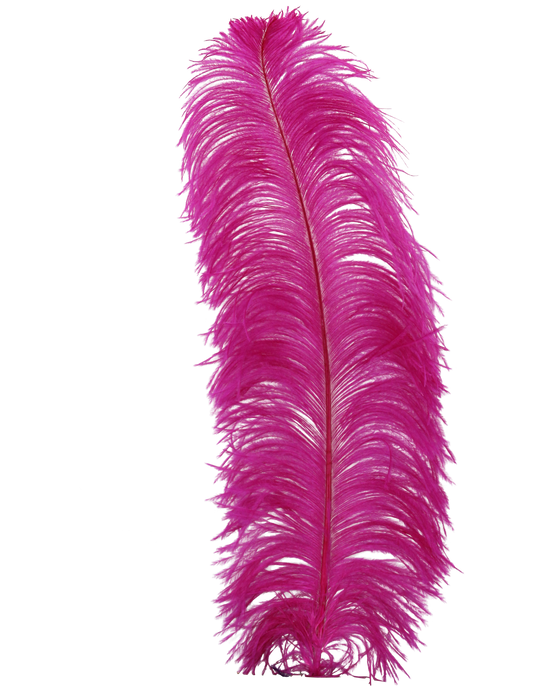 Ostrich Wing Plumes 1st Quality 20"+ H70 Fuschia