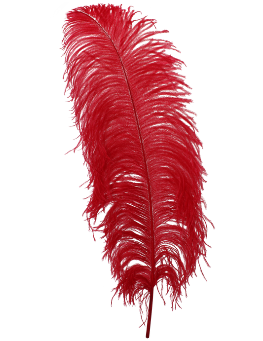 Ostrich Wing Plumes 1st Quality 20"+ H72 Red