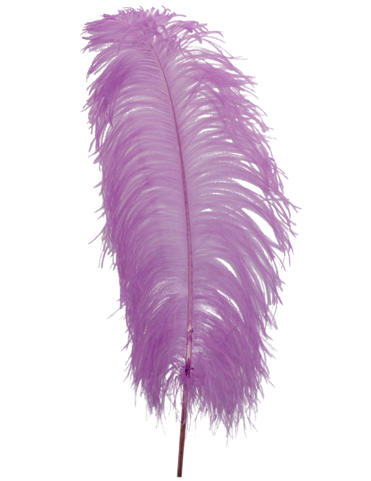 Ostrich Wing Plumes 1st Quality 20"+ H74 Lilac
