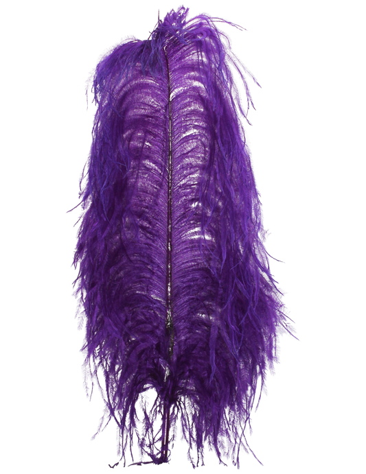 Ostrich Wing Plumes 1st Quality 20"+ H75 Purple