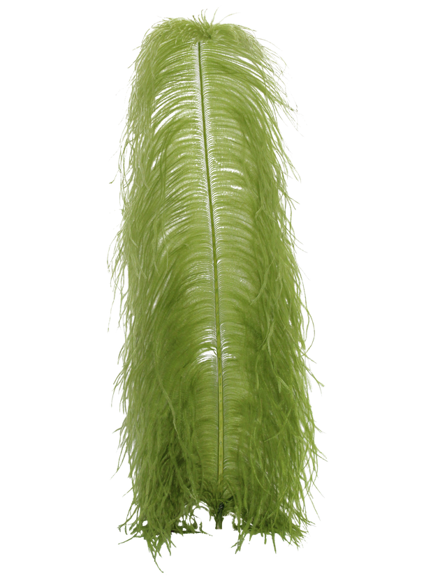 Ostrich Wing Plumes 1st Quality 20"+ H1 Olive