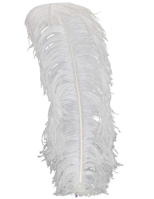 Ostrich Wing Plumes 1st Quality 20"+ H81 White