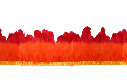 5-7" Goose Nagories Yards 2 Tone H72 Red & H62 Orange