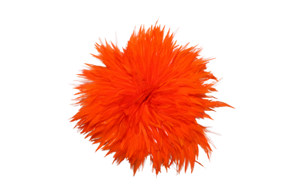 6-7" Rooster Saddles Bleached & Dyed H62 Orange