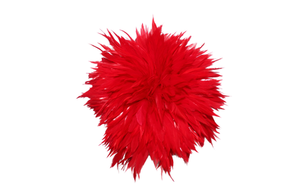 6-7" Rooster Saddles Bleached & Dyed H72 Red