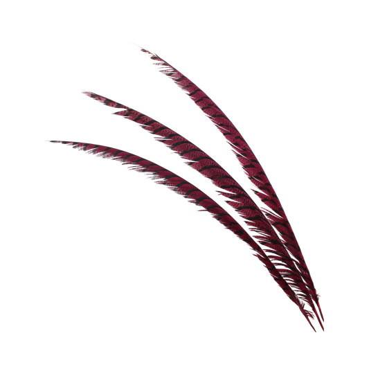 Pheasant Zebra Overdyed 30"+ H103 Wine