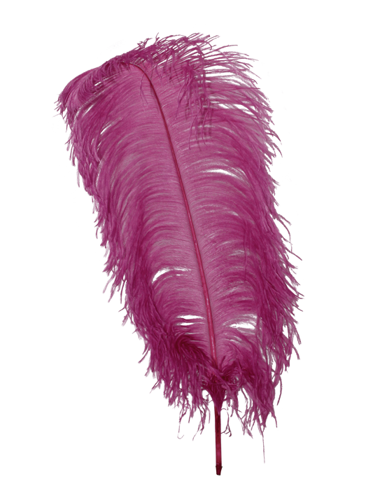 Ostrich Wing Plumes 1st Quality 20"+ H51 Mauve