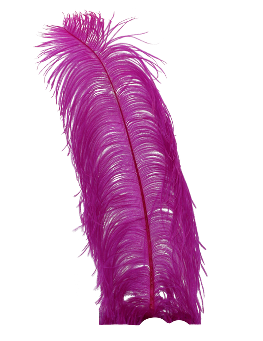 Ostrich Wing Plumes 1st Quality 20"+ H52 Grape