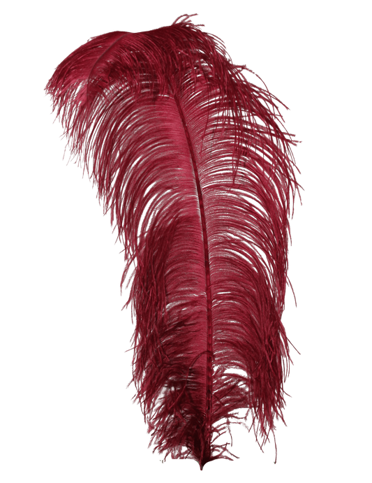 Ostrich Wing Plumes 1st Quality 20"+ H57