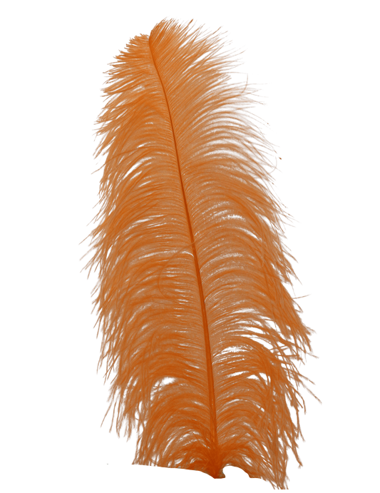 Ostrich Wing Plumes 1st Quality 20"+ H59 Light Orange