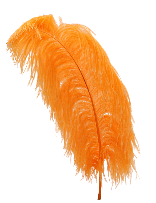 Ostrich Wing Plumes 1st Quality 20"+ H60 Orange