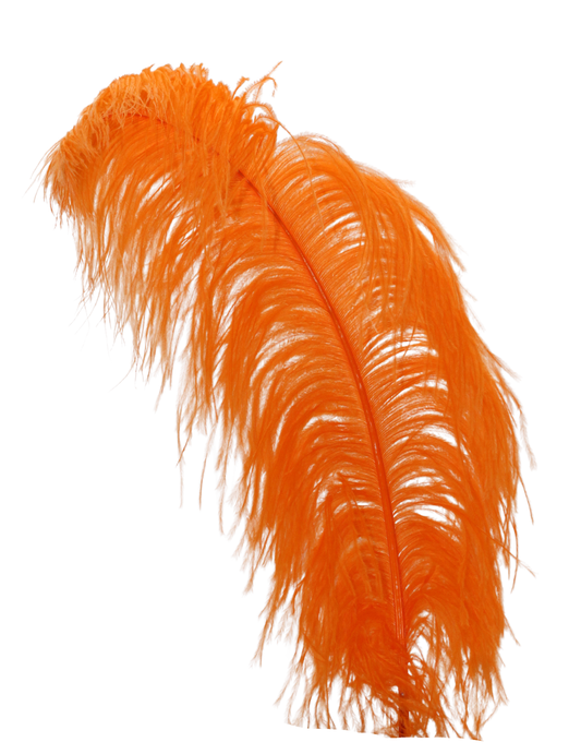 Ostrich Wing Plumes 1st Quality 20"+ H61 Orange
