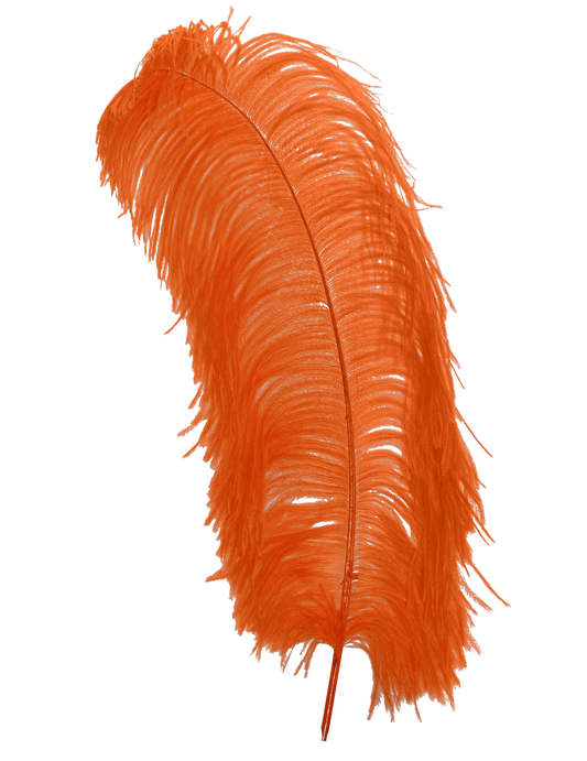 Ostrich Wing Plumes 1st Quality 20"+ H62 Orange