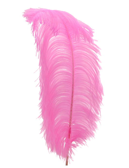 Ostrich Wing Plumes 1st Quality 20"+ H65 Candy Pink