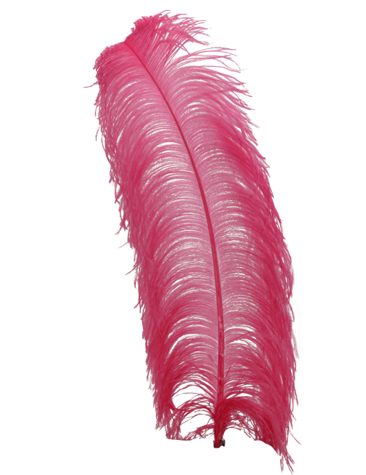 Ostrich Wing Plumes 1st Quality 20"+ H66 Candy Pink