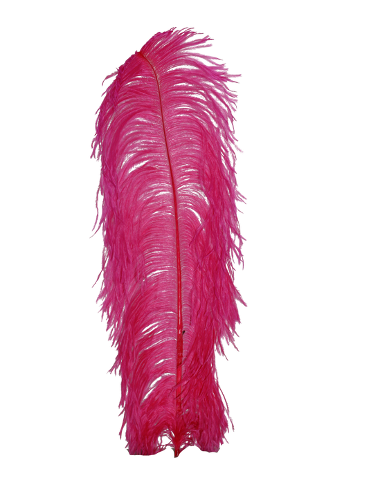 Ostrich Wing Plumes 1st Quality 20"+ H68 Hot Pink