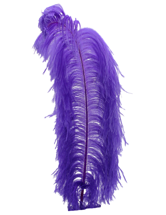 Ostrich Wing Plumes 1st Quality 20"+ H76 Purple
