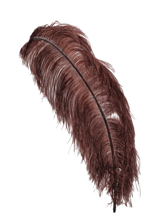 Ostrich Wing Plumes 1st Quality 20"+ H83 Brown