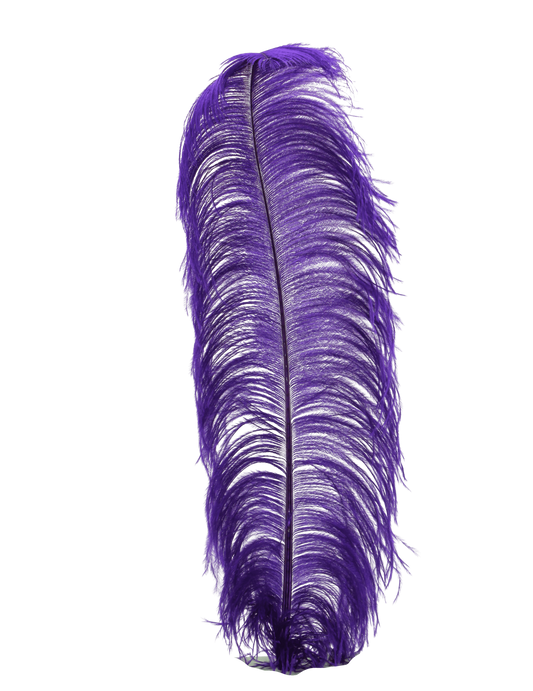 Ostrich Wing Plumes 1st Quality 20"+ H84 Purple