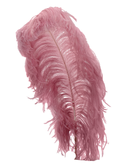 Ostrich Wing Plumes 1st Quality 20"+ H85 Dusty Rose