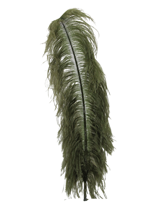 Ostrich Wing Plumes 1st Quality 20"+ H91 Army Green
