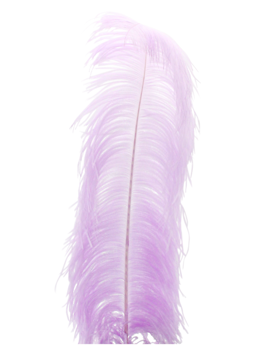 Ostrich Wing Plumes 1st Quality 20"+ H95 Lilac Cloud