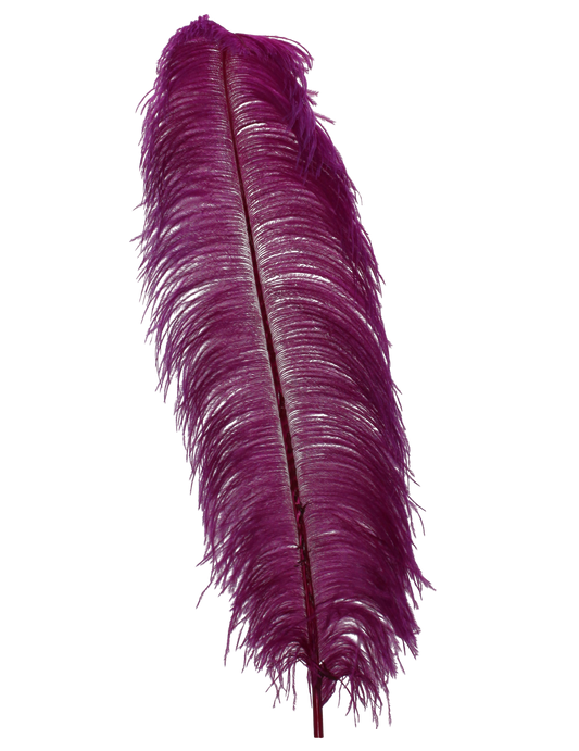 Ostrich Wing Plumes 1st Quality 20"+ H102 Wine