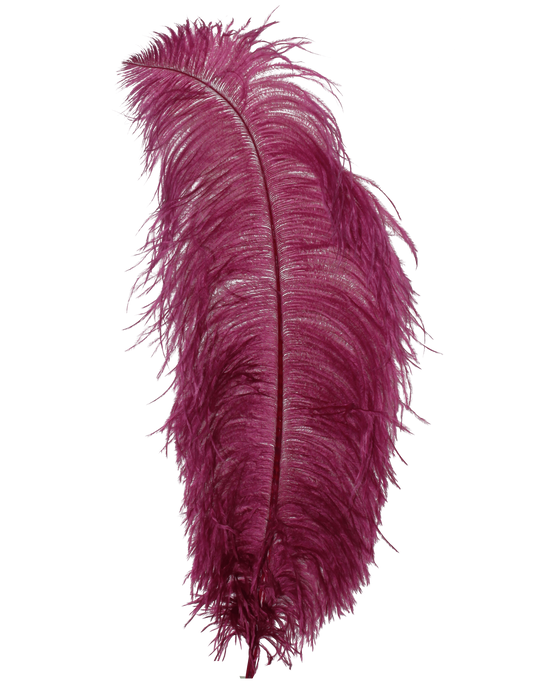 Ostrich Wing Plumes 1st Quality 20"+ H103 Wine