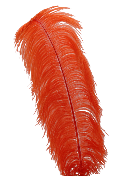 Ostrich Wing Plumes 1st Quality 20"+ H104 Burnt Orange