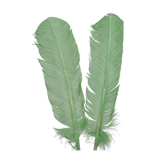 10-12” Turkey Quills Sage