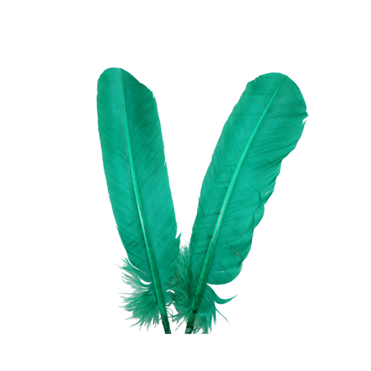 10-12” Turkey Quills H87 Aquamarine