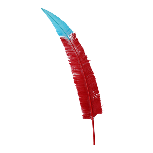 Ostrich Nando Thick Stems 18"+ H72 Red with H12 Aqua Tip