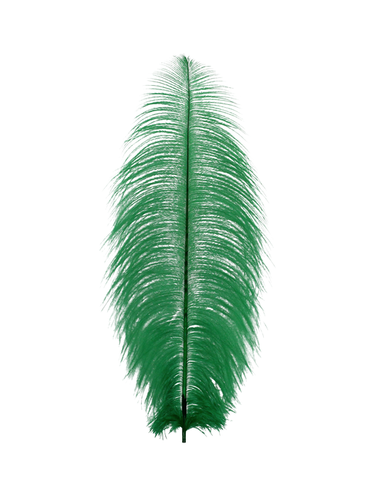 Ostrich Drabs 13-17" H9 Emerald