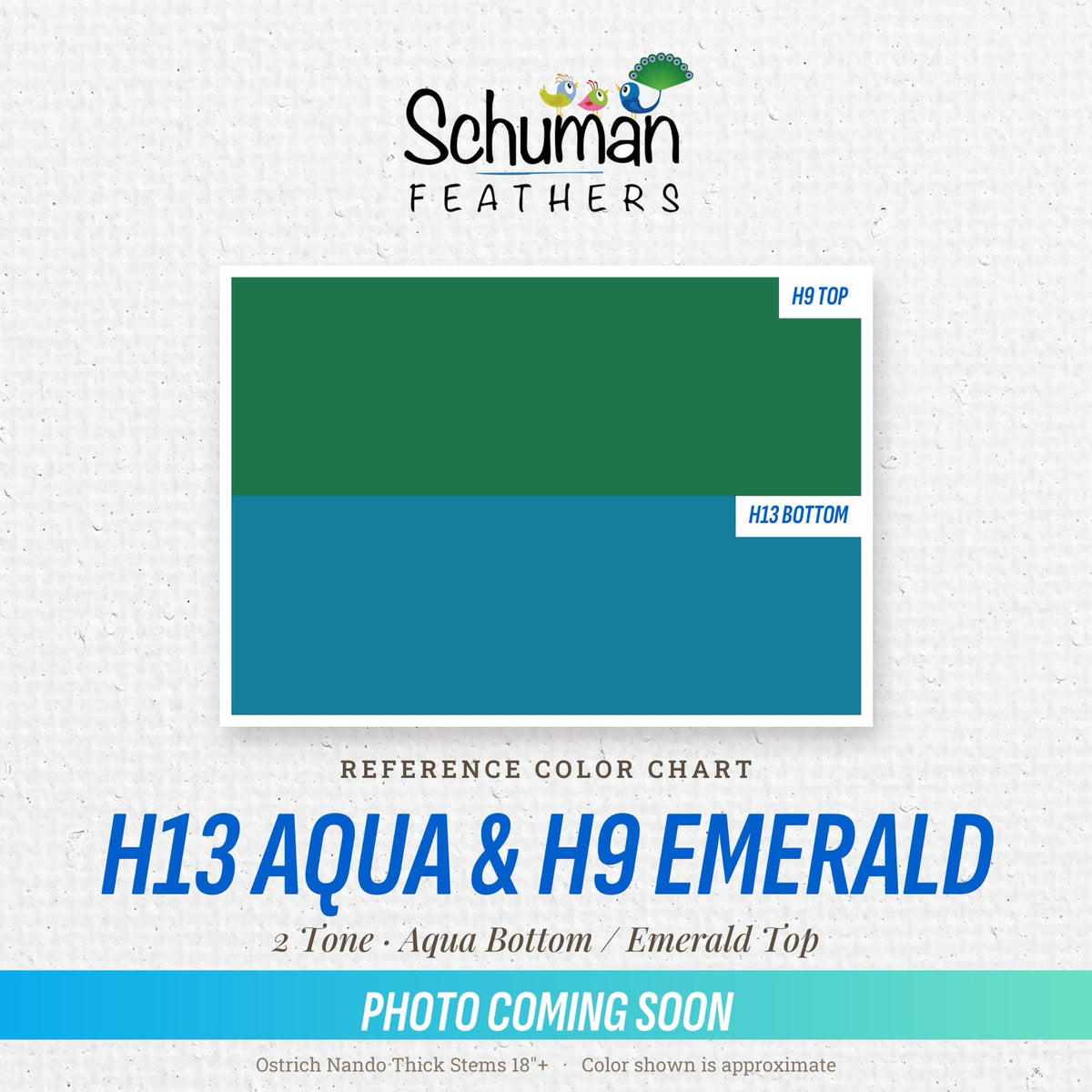 Ostrich Nando Thick Stems 2 Tone 18" H13 Aqua Bottom & H9 Emerald Top - reference color chart, photo coming soon
