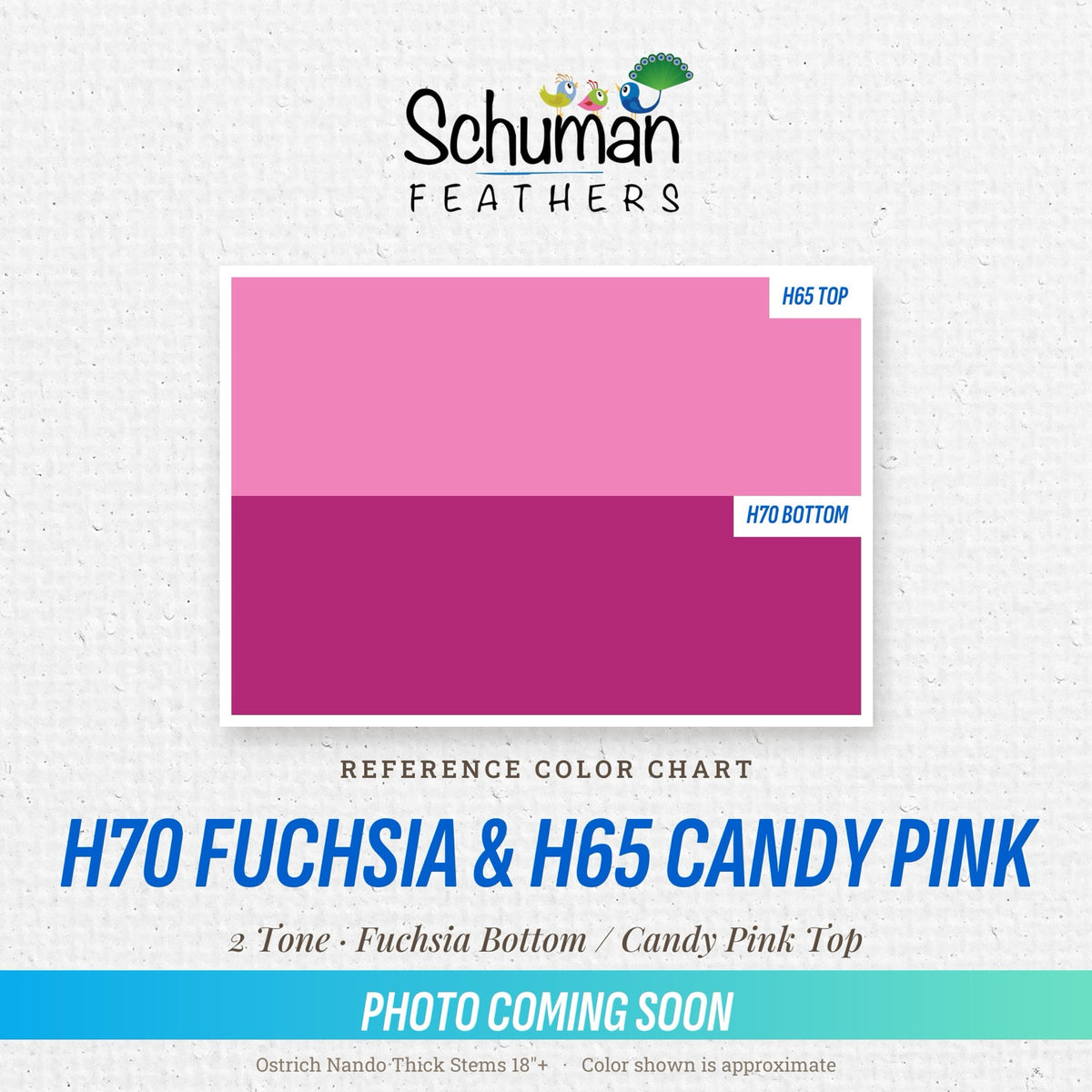 Ostrich Nando Thick Stems 2 Tone 18" H70 Fuchsia Bottom & H65 Candy Pink Top - reference color chart, photo coming soon