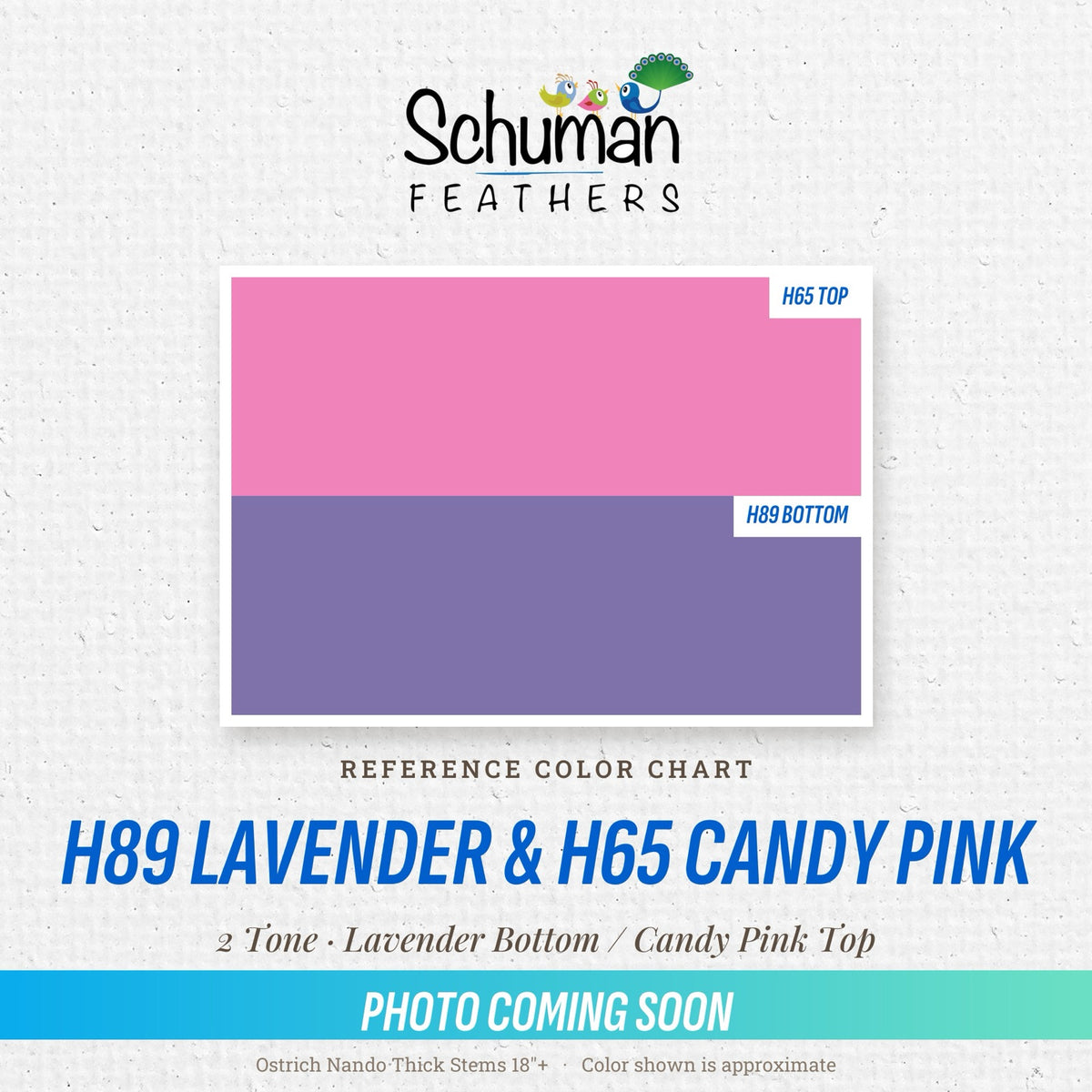 Ostrich Nando Thick Stems 2 Tone 18" H89 Lavender Bottom & H65 Candy Pink Top - reference color chart, photo coming soon