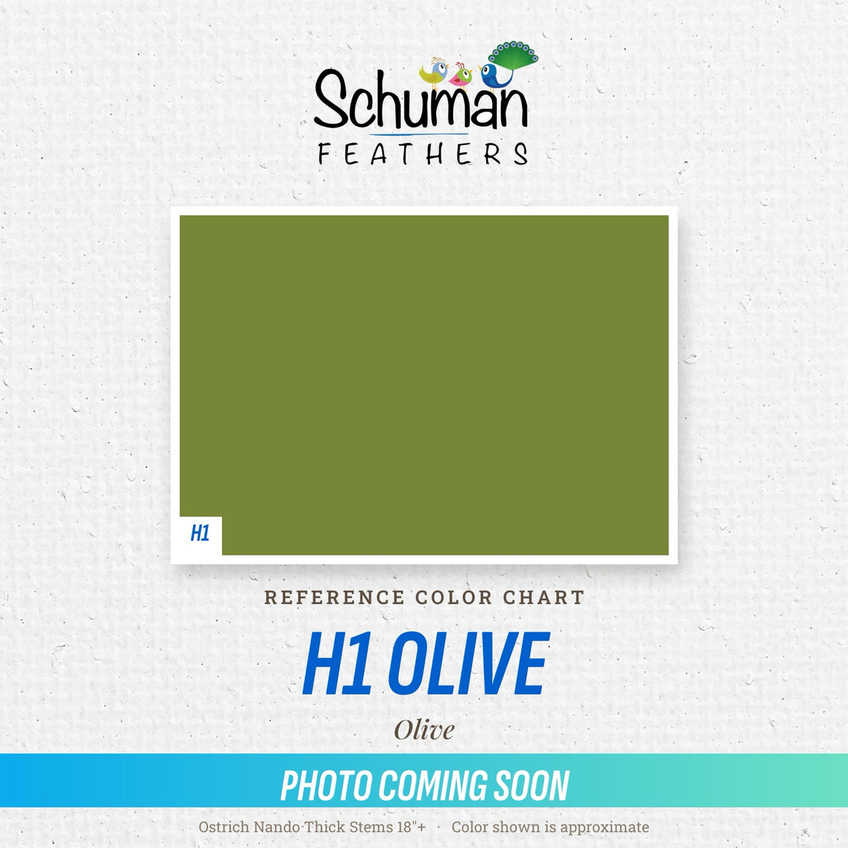 Ostrich Nando Thick Stems 18"+ H1 Olive - reference color chart, photo coming soon