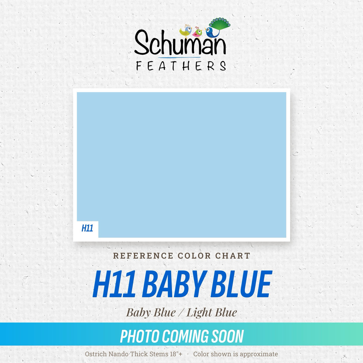 Ostrich Nando Thick Stems 18"+ H11 Baby Blue - reference color chart, photo coming soon