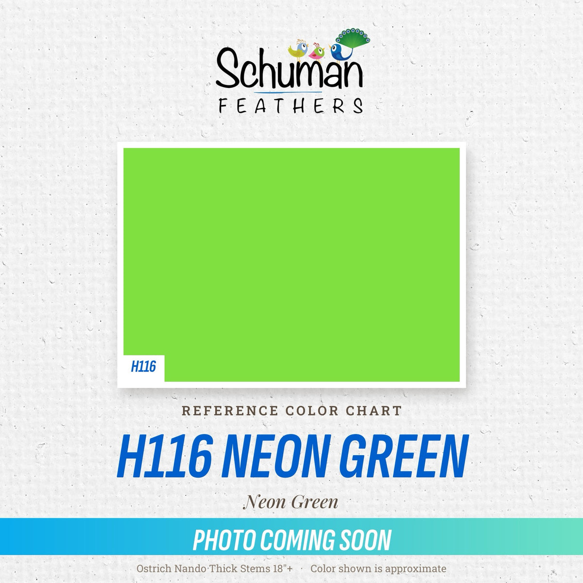 Ostrich Nando Thick Stems 18"+ H116 Neon Green - reference color chart, photo coming soon