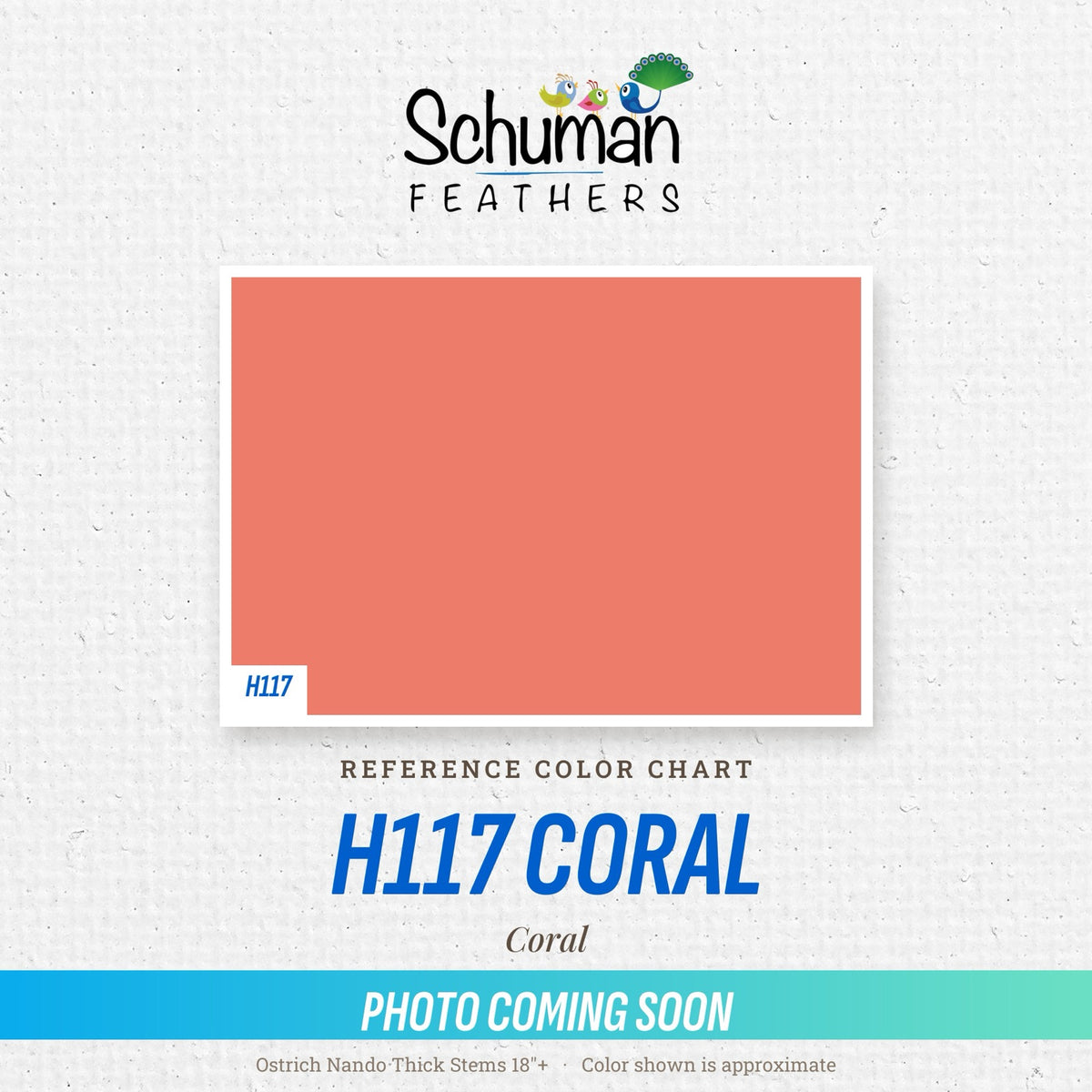 Ostrich Nando Thick Stems 18"+ H117 Coral - reference color chart, photo coming soon