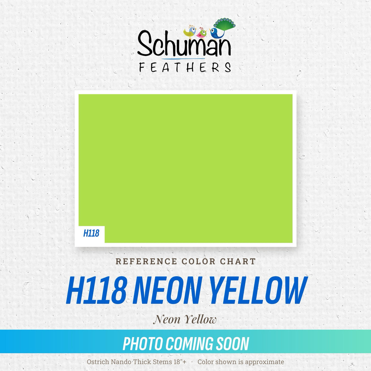 Ostrich Nando Thick Stems 18"+ H118 Neon Yellow - reference color chart, photo coming soon